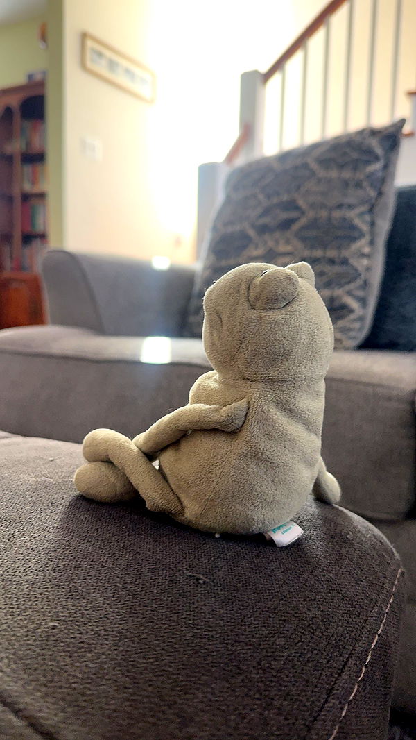 lew12001 image ~ Altpins