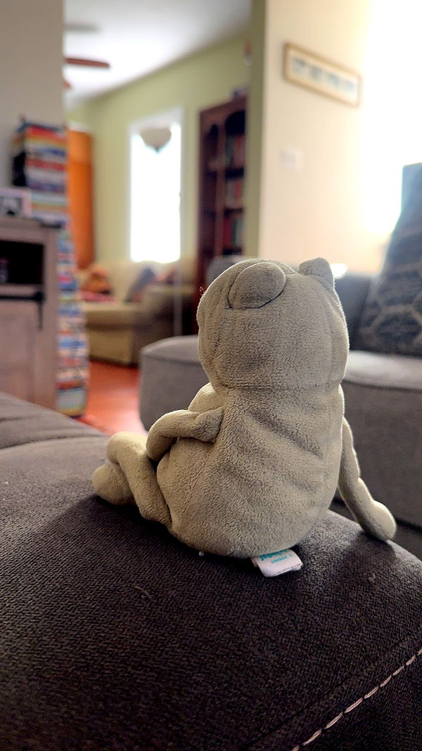 lew12001 image ~ Altpins