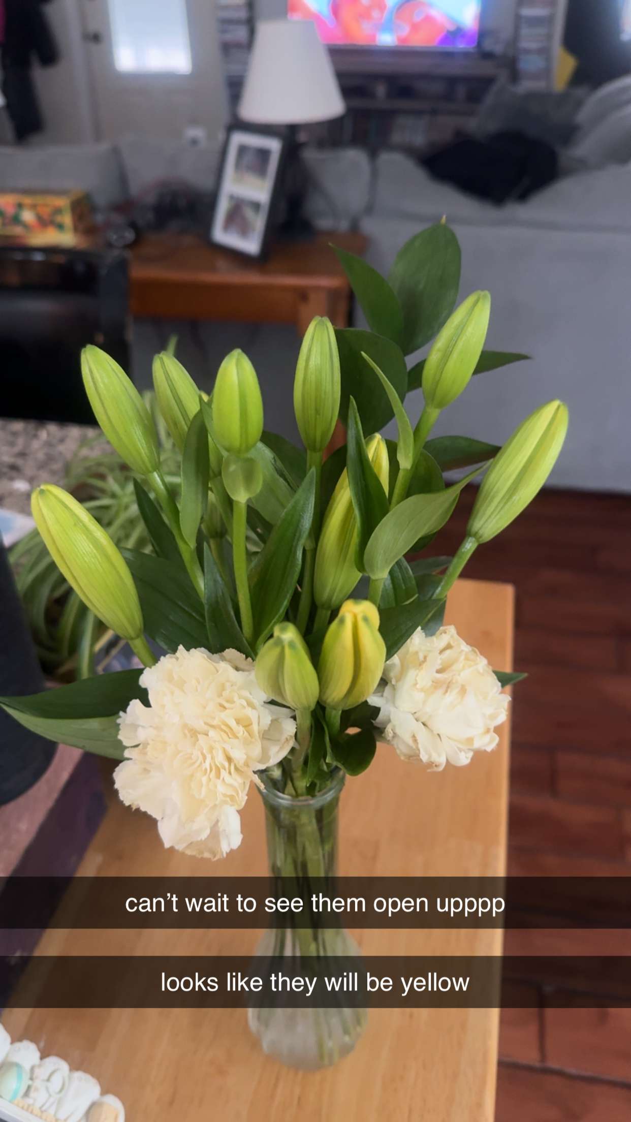 lew12001 snapchat image archive image