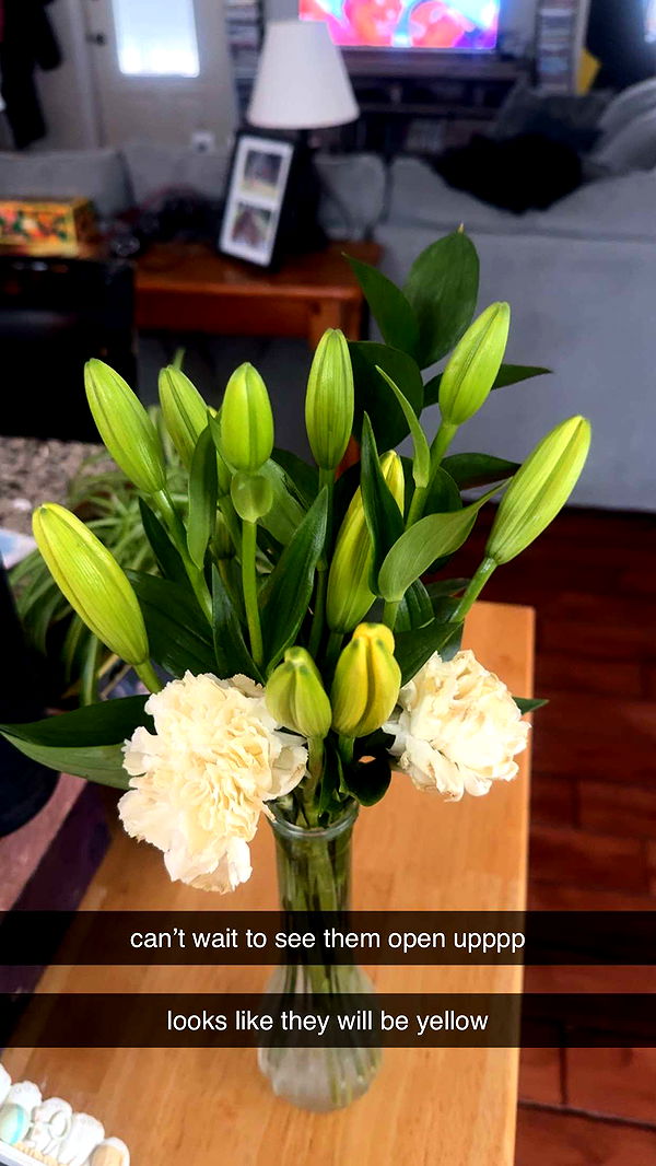 lew12001 image ~ Altpins