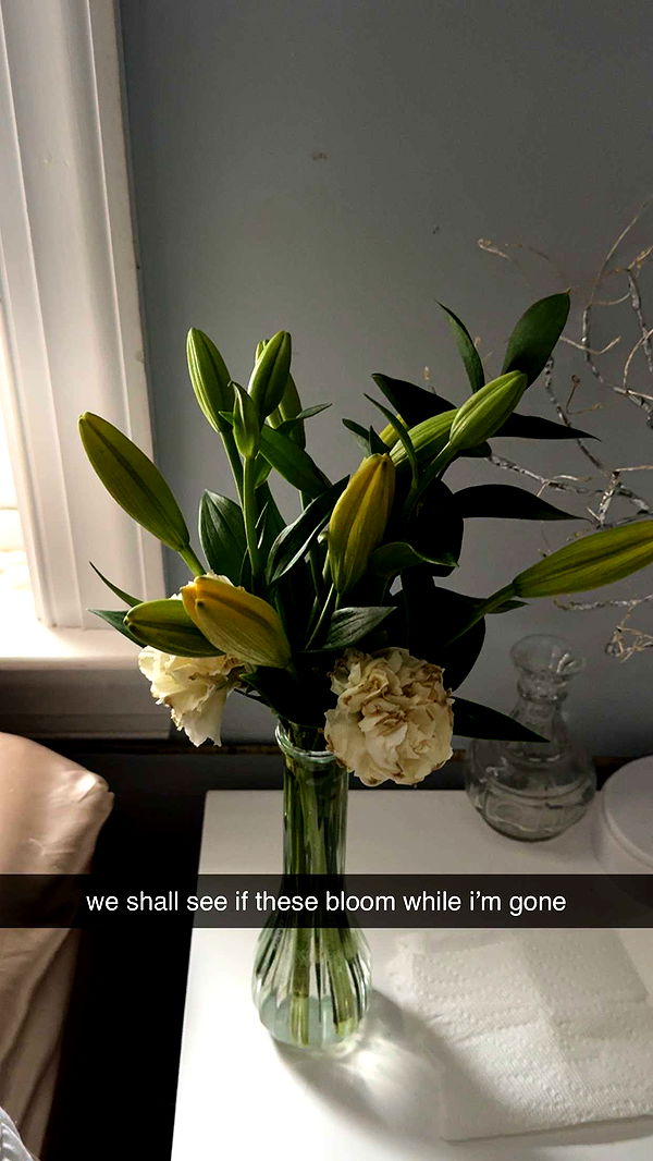 lew12001 image ~ Altpins