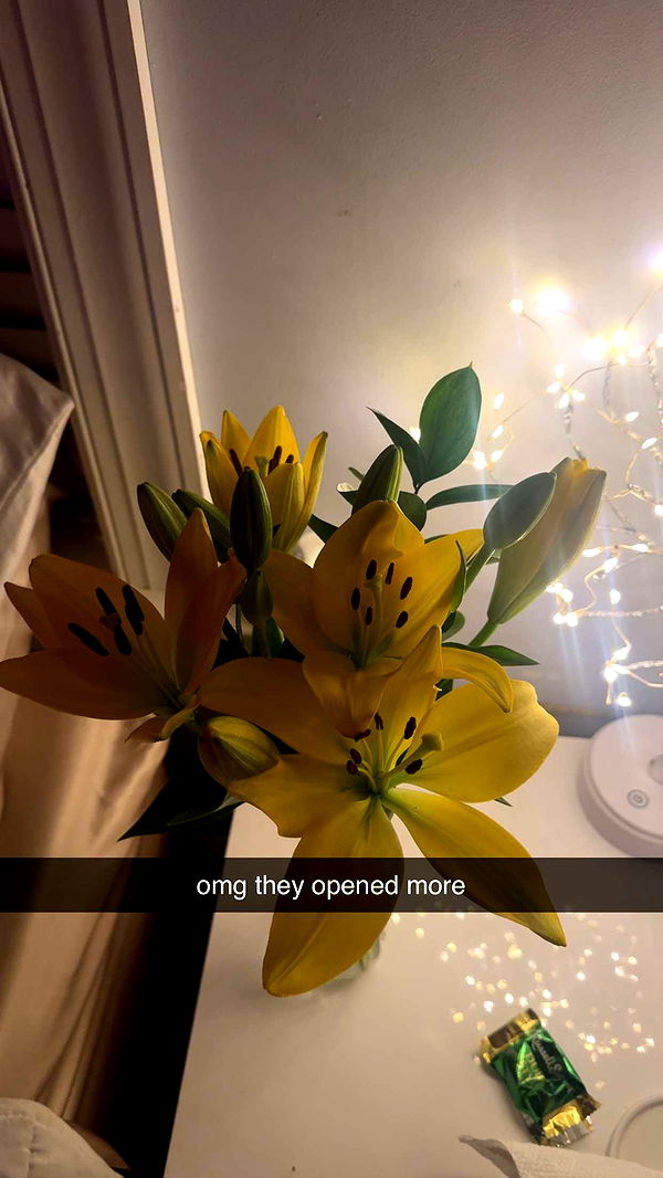 lew12001 image ~ Altpins