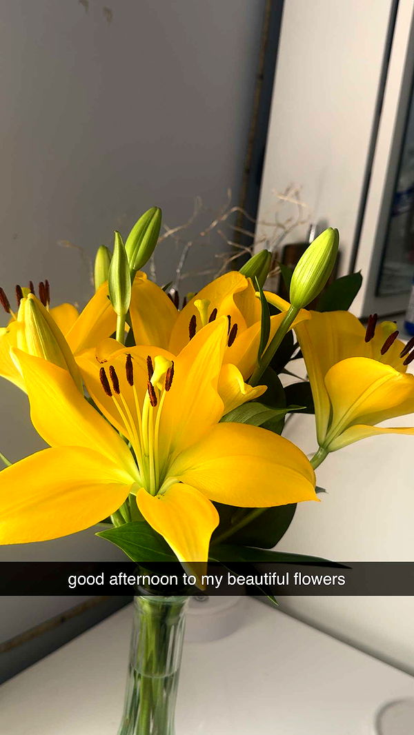 lew12001 image ~ Altpins