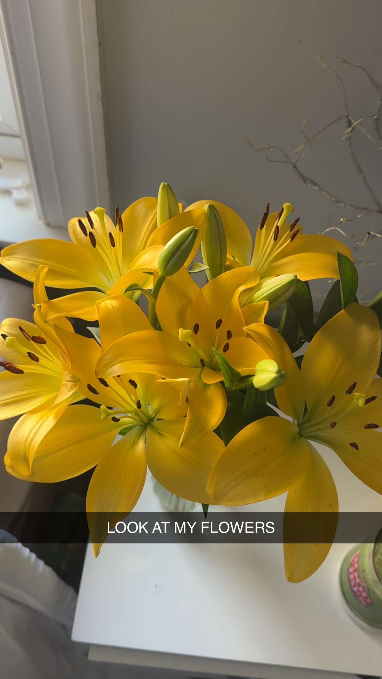 lew12001 snapchat image archive image