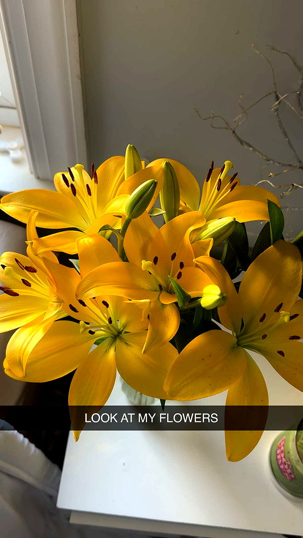 lew12001 image ~ Altpins