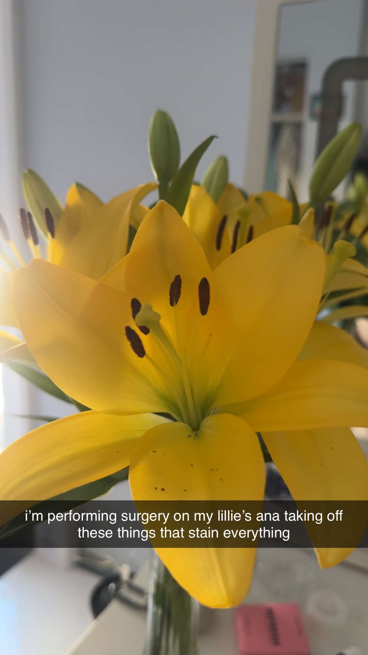 lew12001 snapchat image archive image