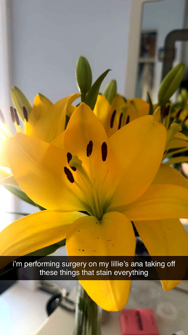 lew12001 image ~ Altpins