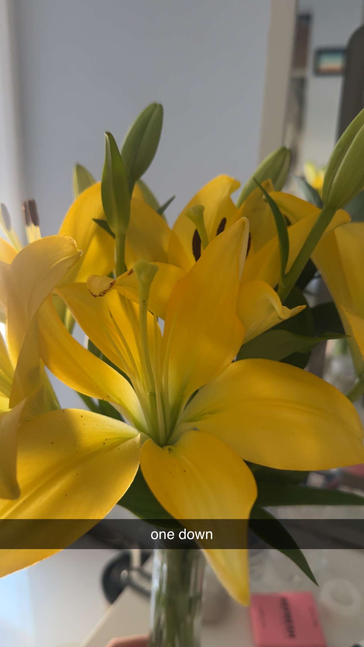 lew12001 snapchat image archive image