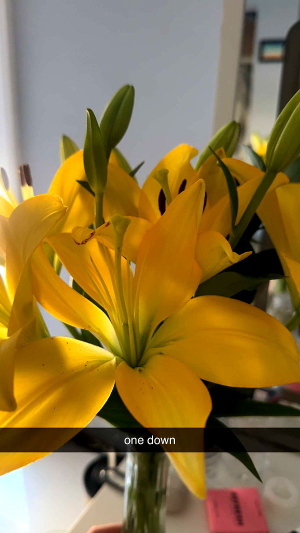 lew12001 image ~ Altpins