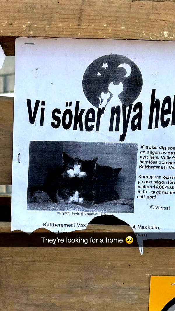 linzoor snapchat image archive image