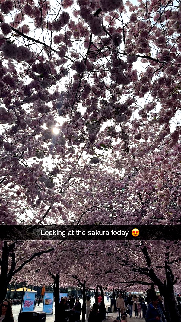 linzoor snapchat image archive image