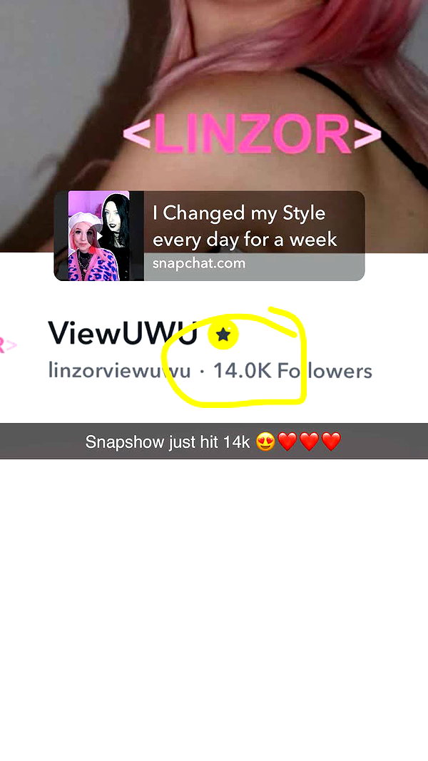 linzoor snapchat image archive image