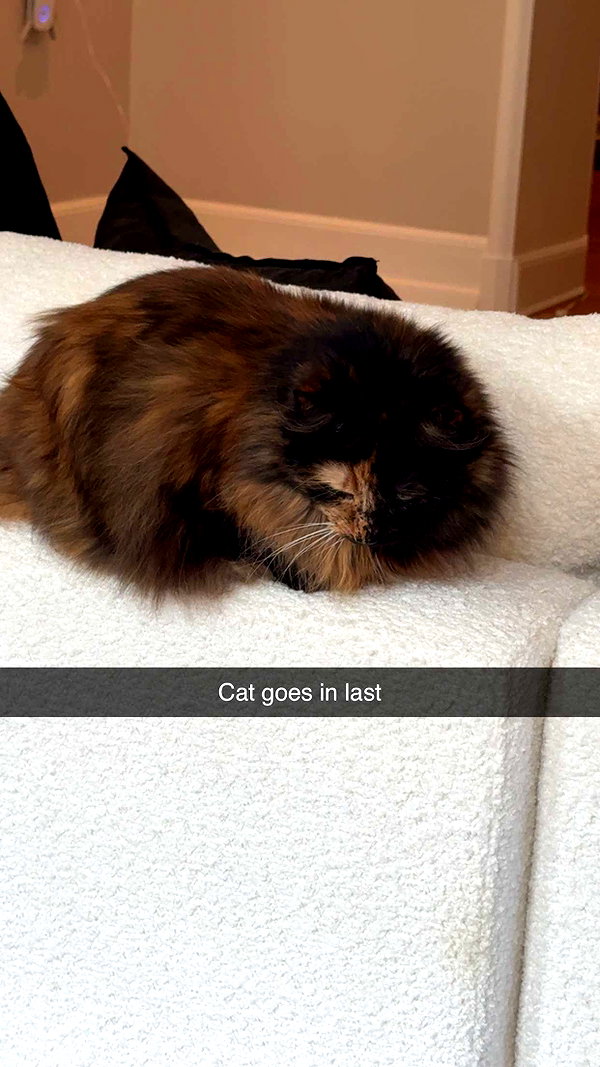 linzoor snapchat image archive image