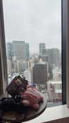 linzoor Altpins Profile Picture