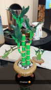 linzoor Altpins Profile Picture