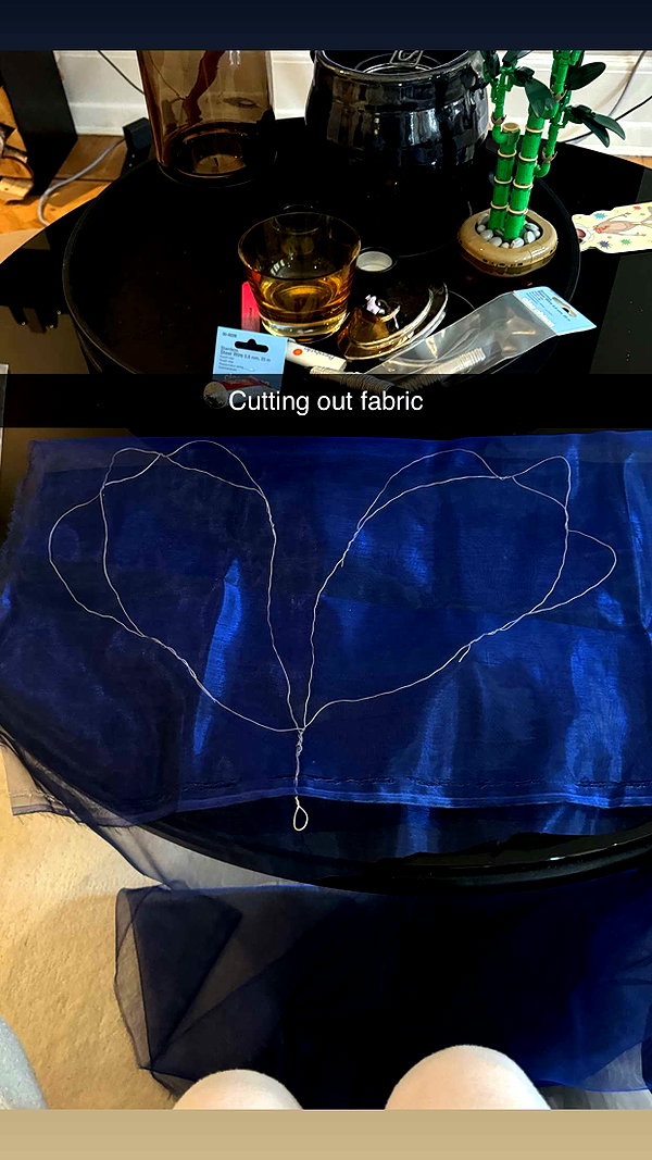 linzoor snapchat image archive image