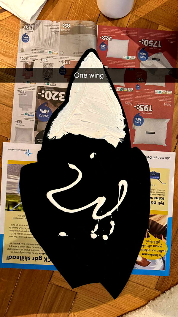 linzoor snapchat image archive image