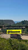 linzoor Altpins Profile Picture