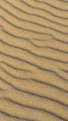 linzoor Altpins Profile Picture