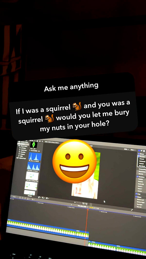 linzoor snapchat image archive image