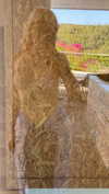 linzoor Altpins Profile Picture