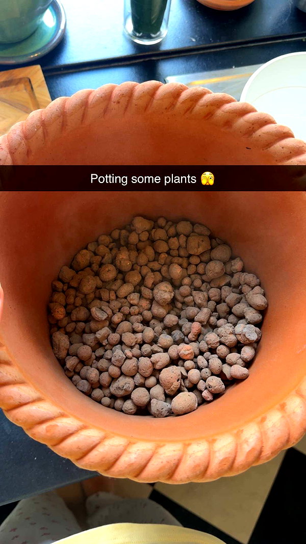 linzoor snapchat image archive image