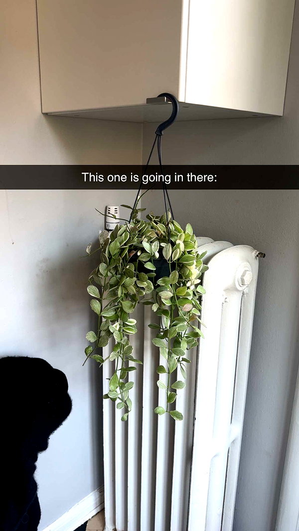 linzoor snapchat image archive image