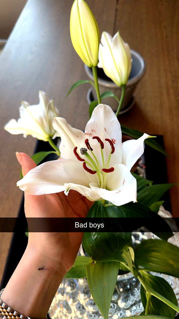 linzoor snapchat image archive image