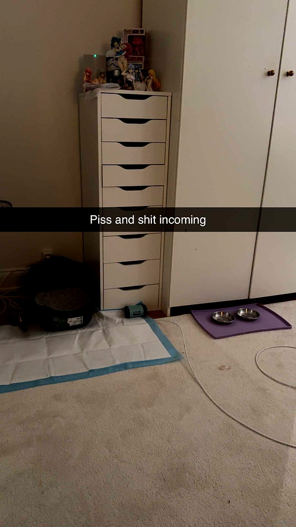 linzoor snapchat image archive image