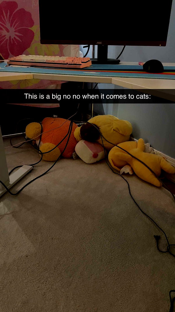 linzoor snapchat image archive image