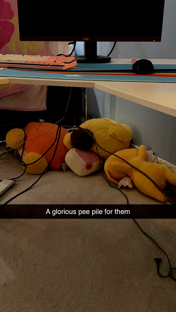 linzoor snapchat image archive image
