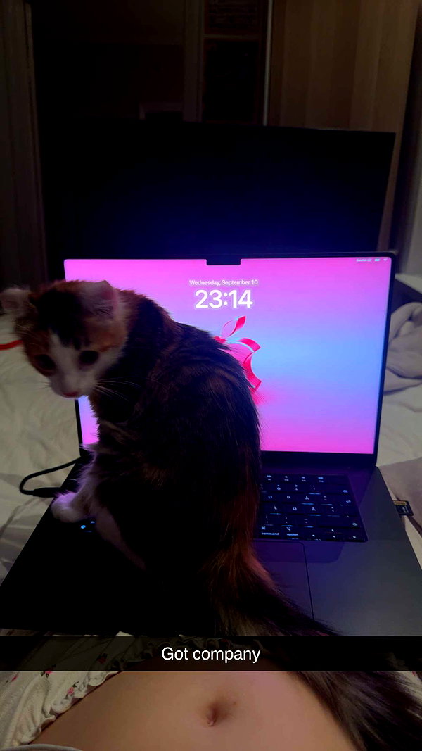 linzoor snapchat image archive image