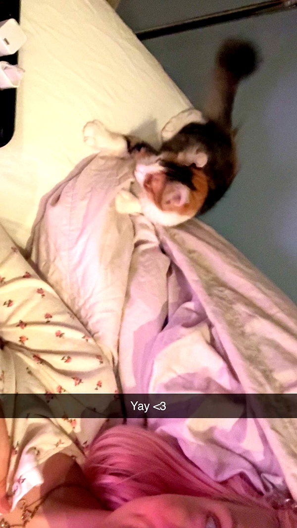 linzoor snapchat image archive image