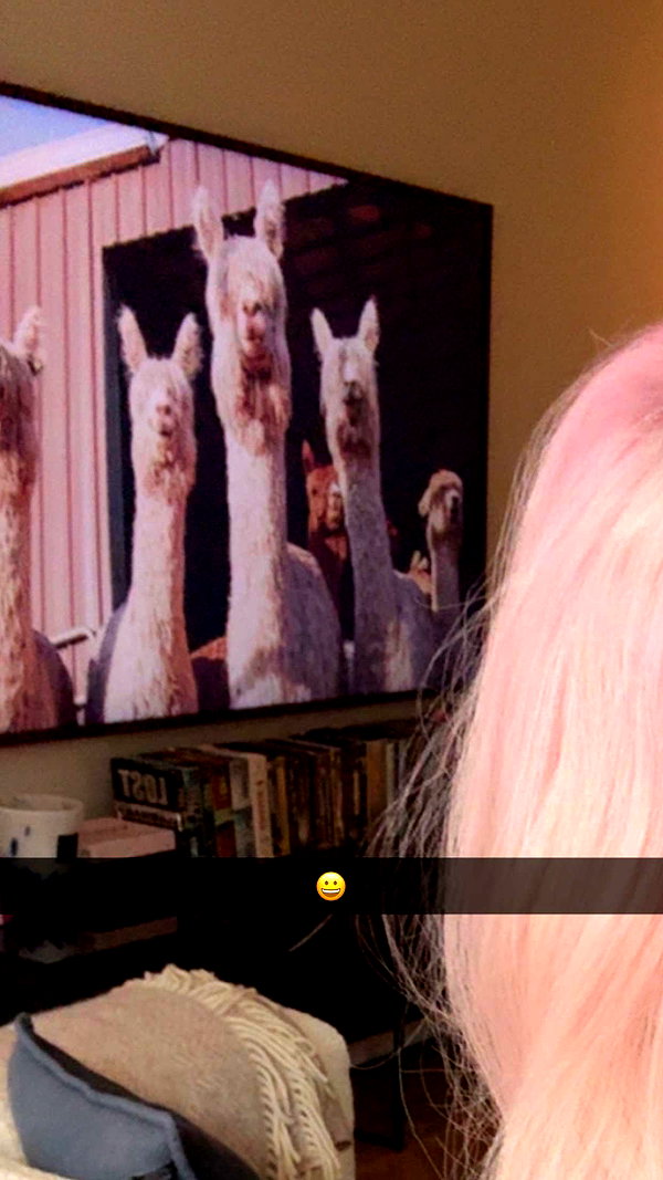linzoor snapchat image archive image
