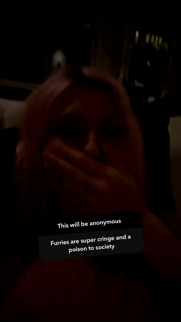 linzoor snapchat image archive image