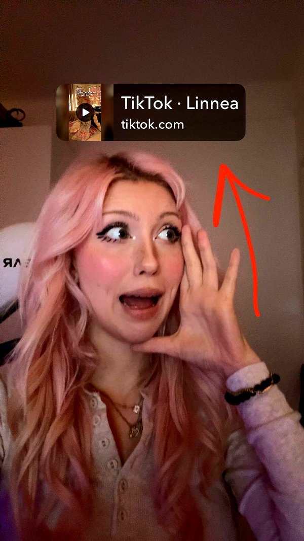 linzoor snapchat image archive image