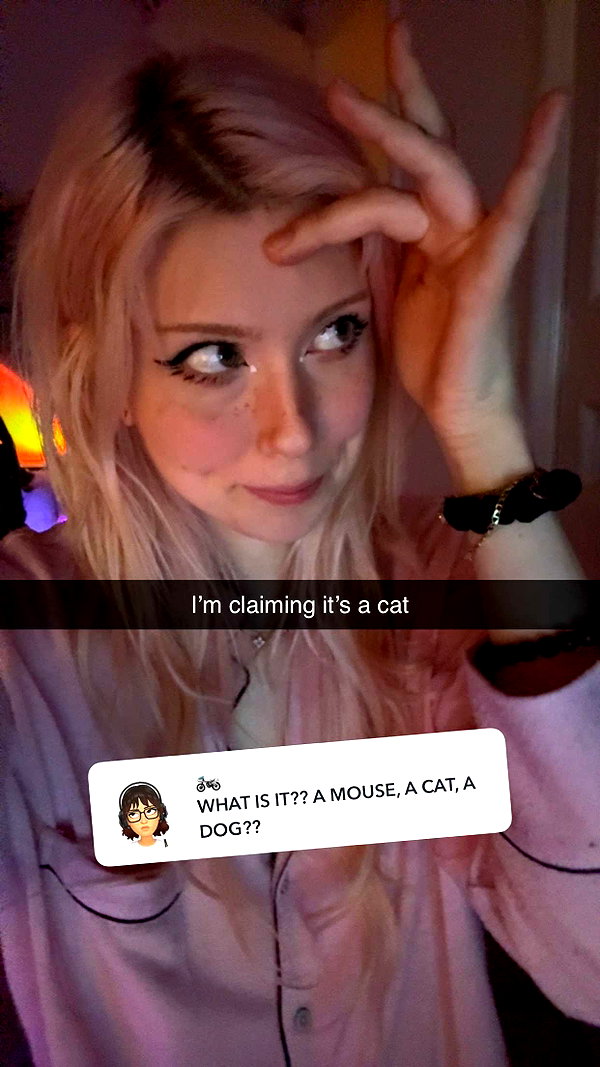 linzoor snapchat image archive image