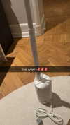 linzoor Altpins Profile Picture