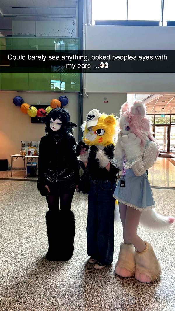 linzoor snapchat image archive image
