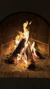 linzoor Altpins Profile Picture