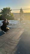 linzoor Altpins Profile Picture