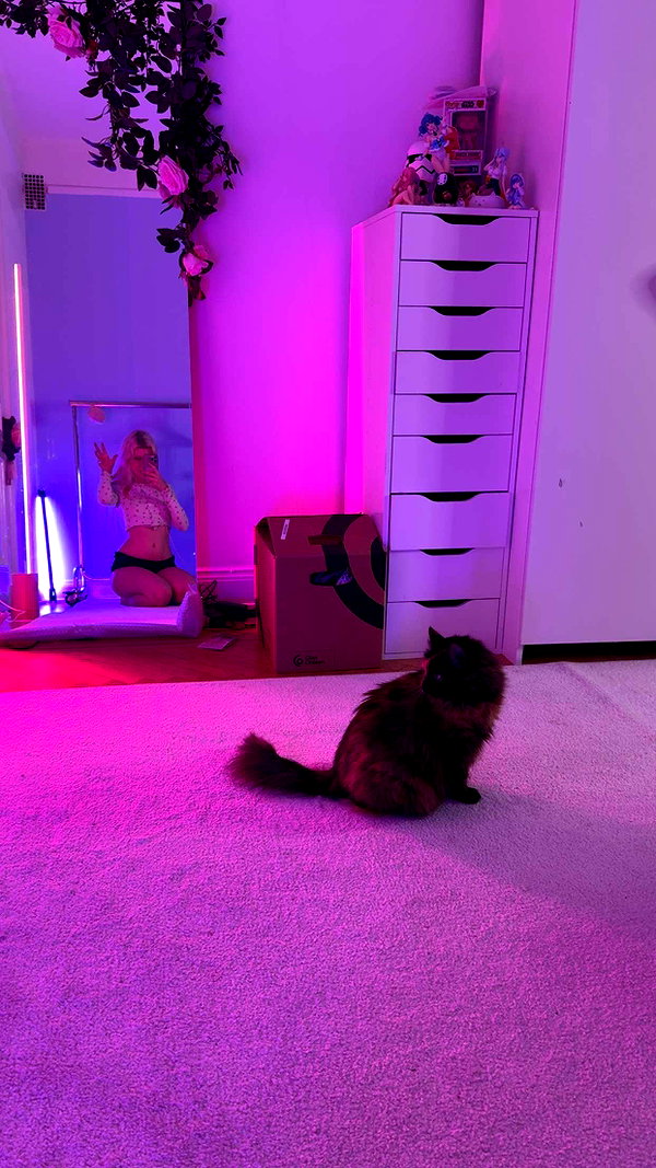 linzoor snapchat image archive image