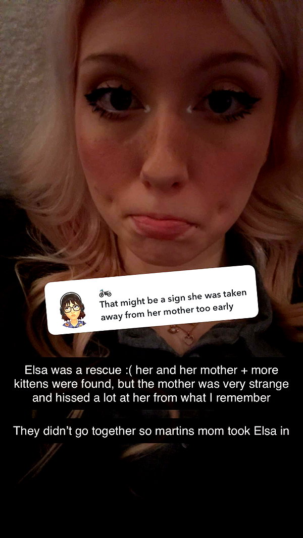 linzoor snapchat image archive image