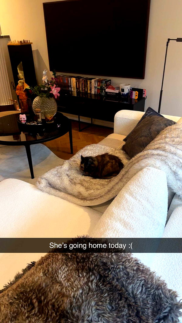 linzoor snapchat image archive image