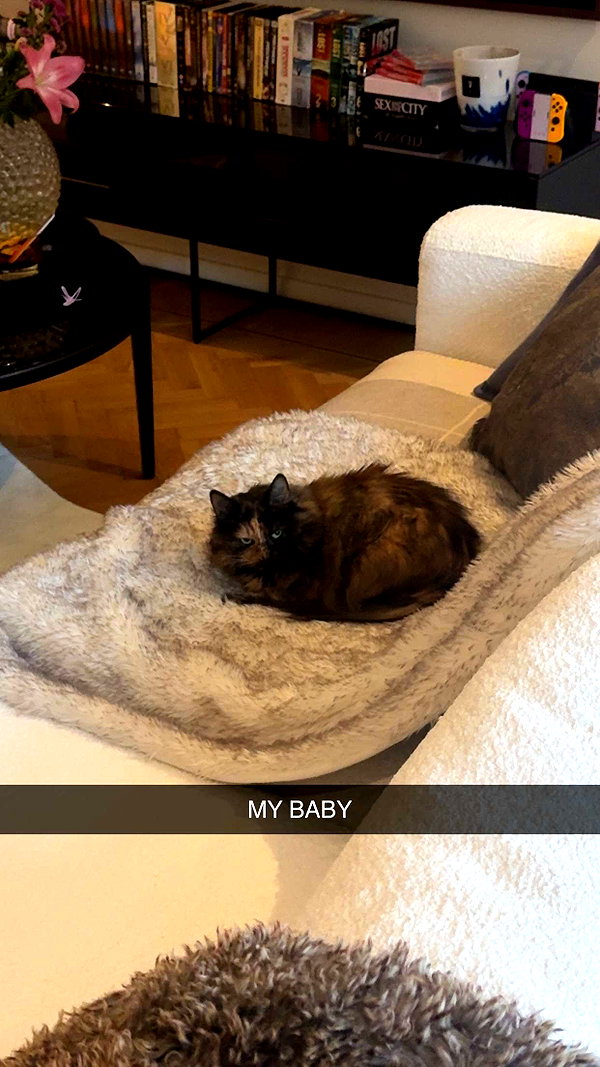 linzoor snapchat image archive image