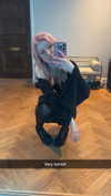 linzoor Altpins Profile Picture