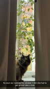 linzoor Altpins Profile Picture