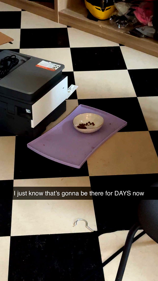 linzoor snapchat image archive image
