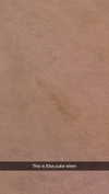 linzoor Altpins Profile Picture