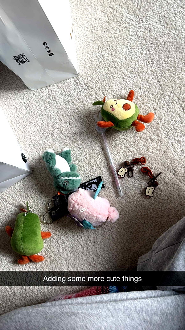 linzoor snapchat image archive image